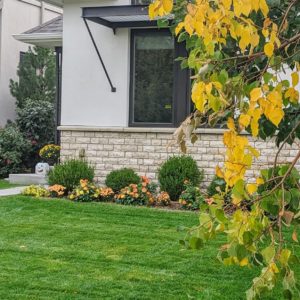 curb appeal in Denver even in the fall